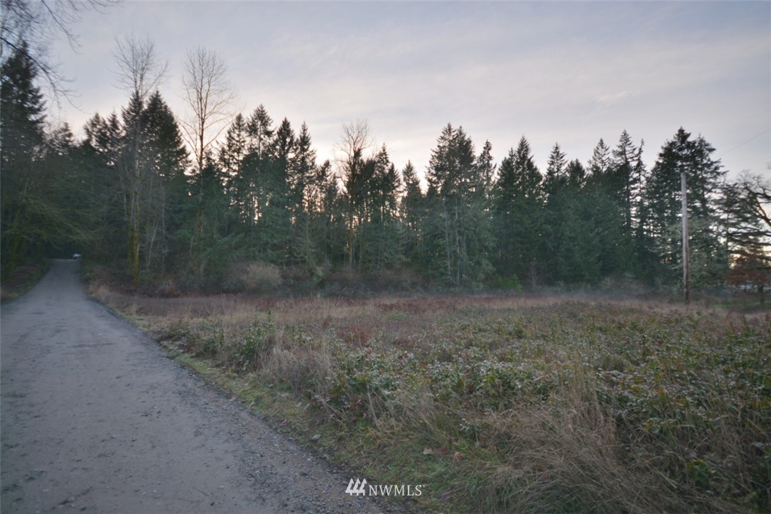 11136 Clark Road Southeast Yelm, WA 98597 - Photo 13 of 13 Gallery Image 13