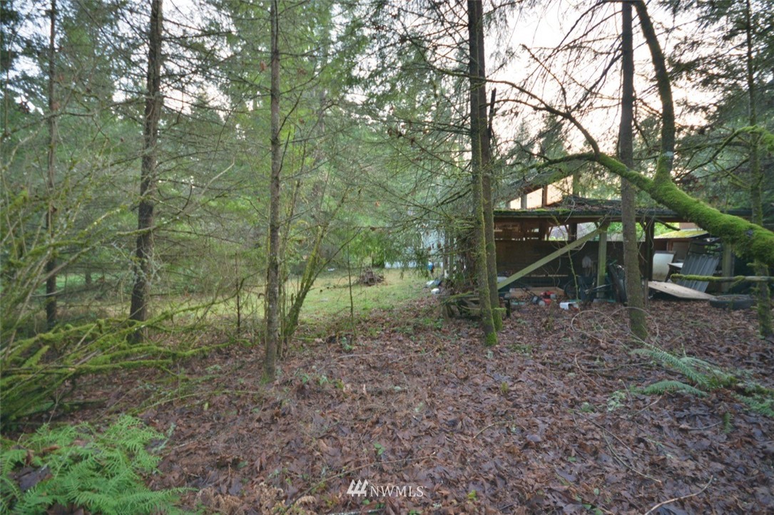 11136 Clark Road Southeast Yelm, WA 98597 - Photo 8 of 13 Gallery Image 8