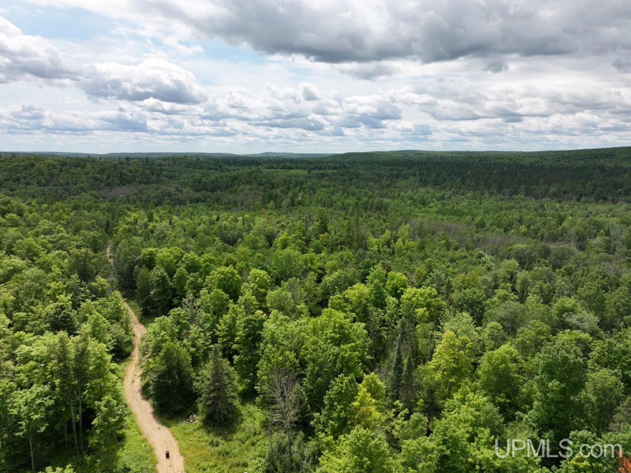 94-acres Off Bates Amasa Road Crystal Falls, MI 49920 - Photo 11 of 38