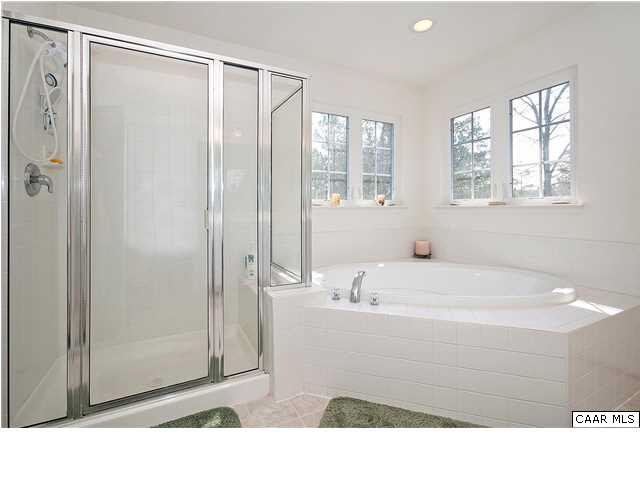 1099 Willow Ridge Road Troy, VA 22974 - Photo 12 of 39 a bathroom with a tub shower and sink