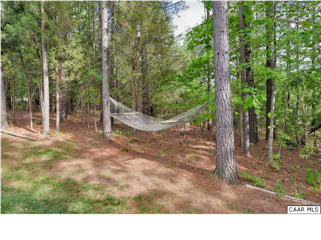 1099 Willow Ridge Road Troy, VA 22974 - Photo 37 of 39 a view of a park with large trees