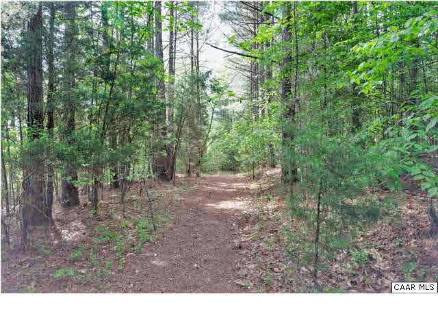 1099 Willow Ridge Road Troy, VA 22974 - Photo 38 of 39 a view of a forest with trees