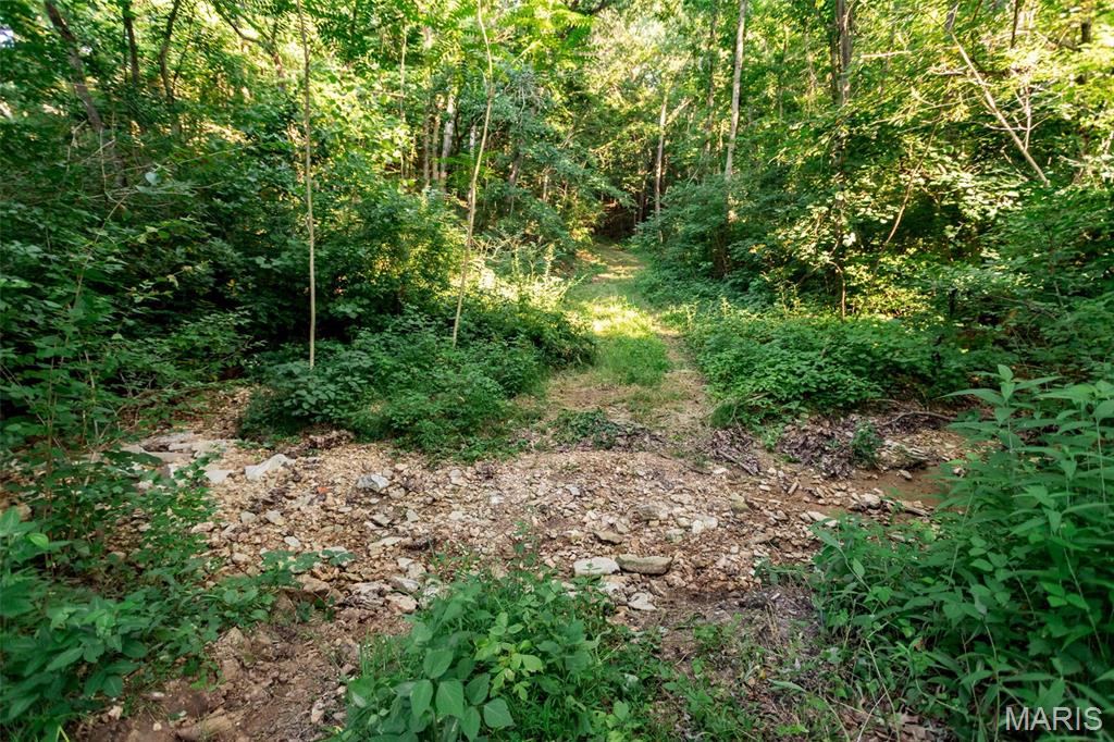 575 Schleeper Hollow Road Hardin, IL 62047 - Photo 42 of 61