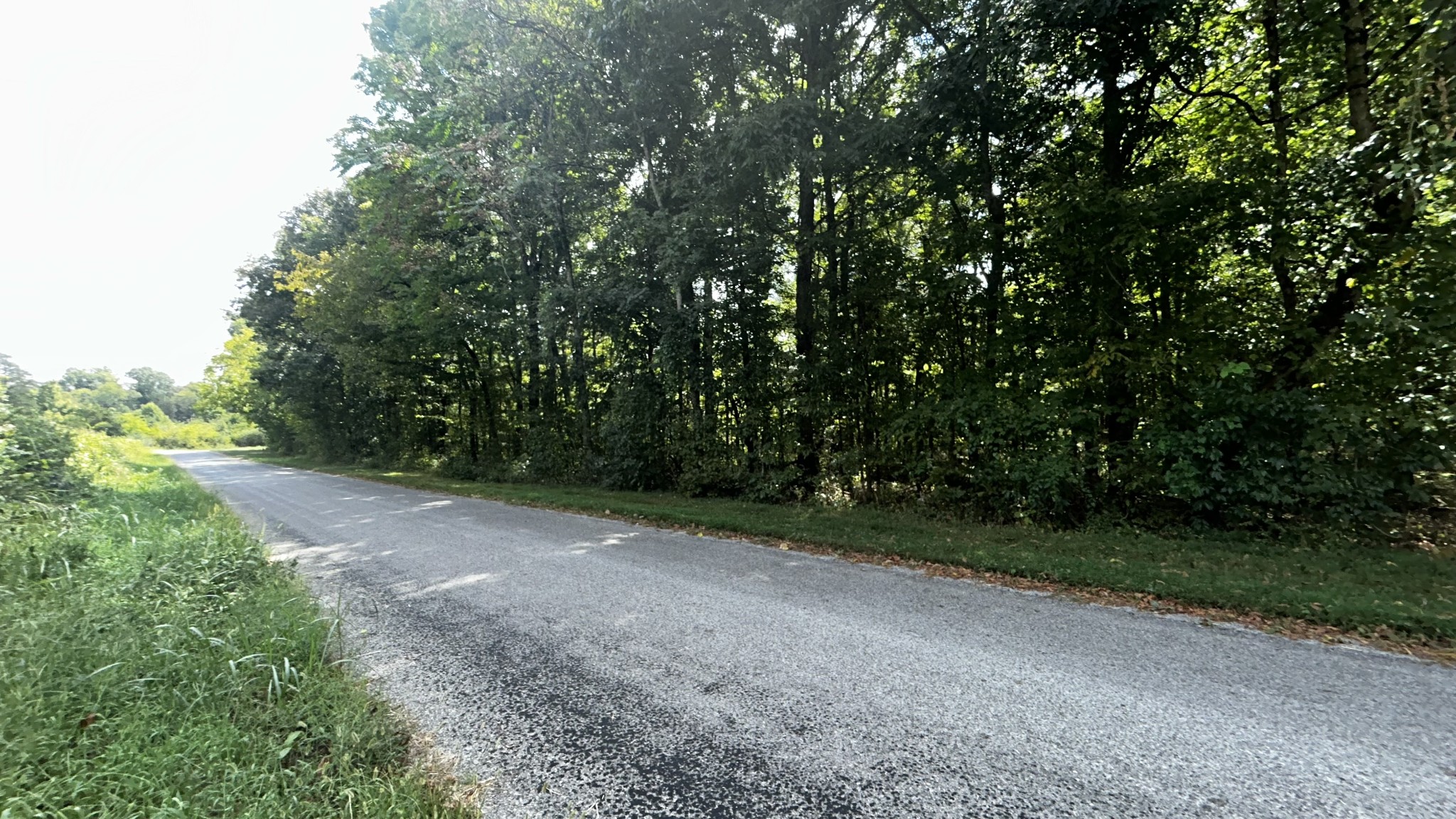 0 Craig Moore Road Lewisburg, TN 37091 - Photo 4 of 17 Gallery Image 4