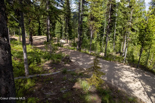 $415,000 | 3 Packers Meadow Road, Kooskia, ID 83539