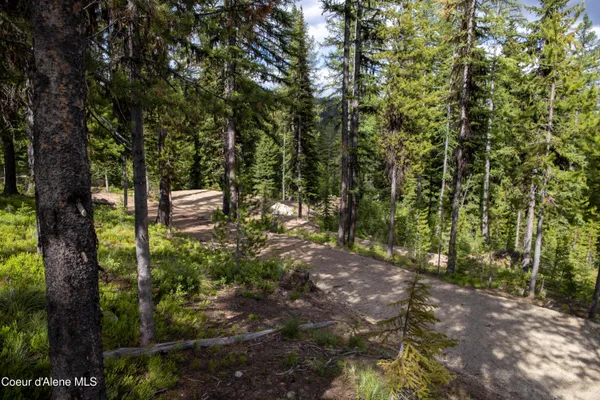 $415,000 | 3 Packers Meadow Road, Kooskia, ID 83539