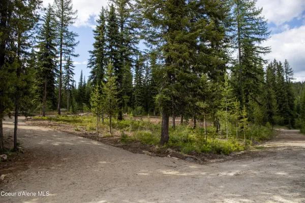 $415,000 | 3 Packers Meadow Road, Kooskia, ID 83539