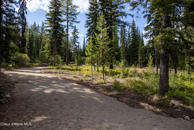 $415,000 | 3 Packers Meadow Road, Kooskia, ID 83539