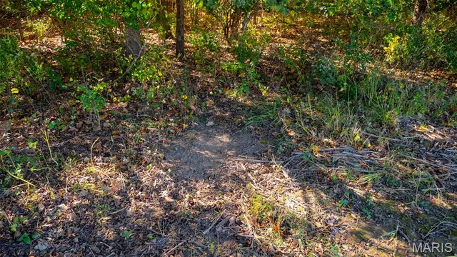 $545,000 | 0 Pebble Creek Drive, Elsberry, MO 63343