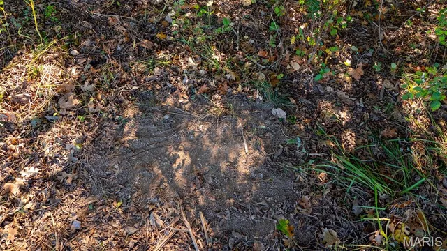 $545,000 | 0 Pebble Creek Drive, Elsberry, MO 63343