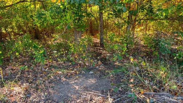 $545,000 | 0 Pebble Creek Drive, Elsberry, MO 63343