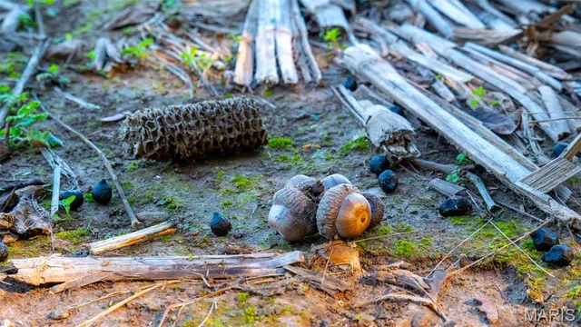 $545,000 | 0 Pebble Creek Drive, Elsberry, MO 63343