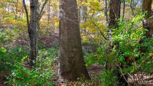 $545,000 | 0 Pebble Creek Drive, Elsberry, MO 63343