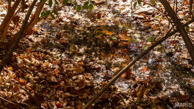 $545,000 | 0 Pebble Creek Drive, Elsberry, MO 63343