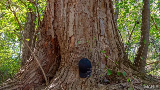 $545,000 | 0 Pebble Creek Drive, Elsberry, MO 63343