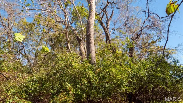 $545,000 | 0 Pebble Creek Drive, Elsberry, MO 63343