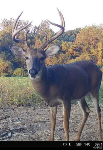 $545,000 | 0 Pebble Creek Drive, Elsberry, MO 63343