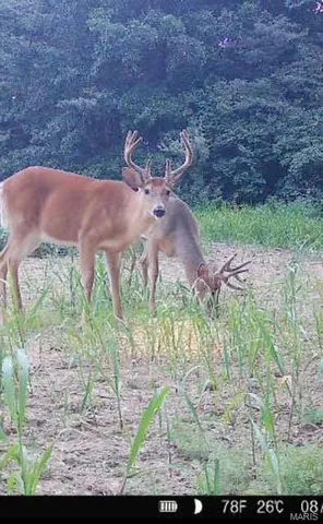 $545,000 | 0 Pebble Creek Drive, Elsberry, MO 63343