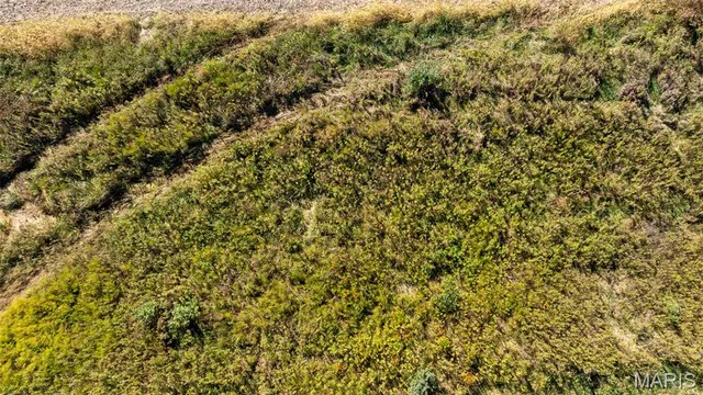 $545,000 | 0 Pebble Creek Drive, Elsberry, MO 63343