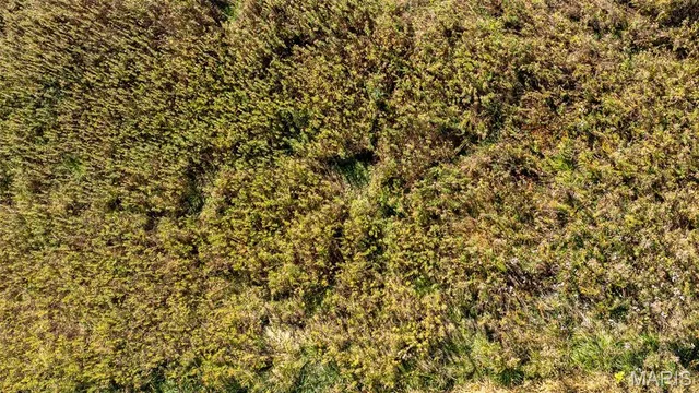 $545,000 | 0 Pebble Creek Drive, Elsberry, MO 63343