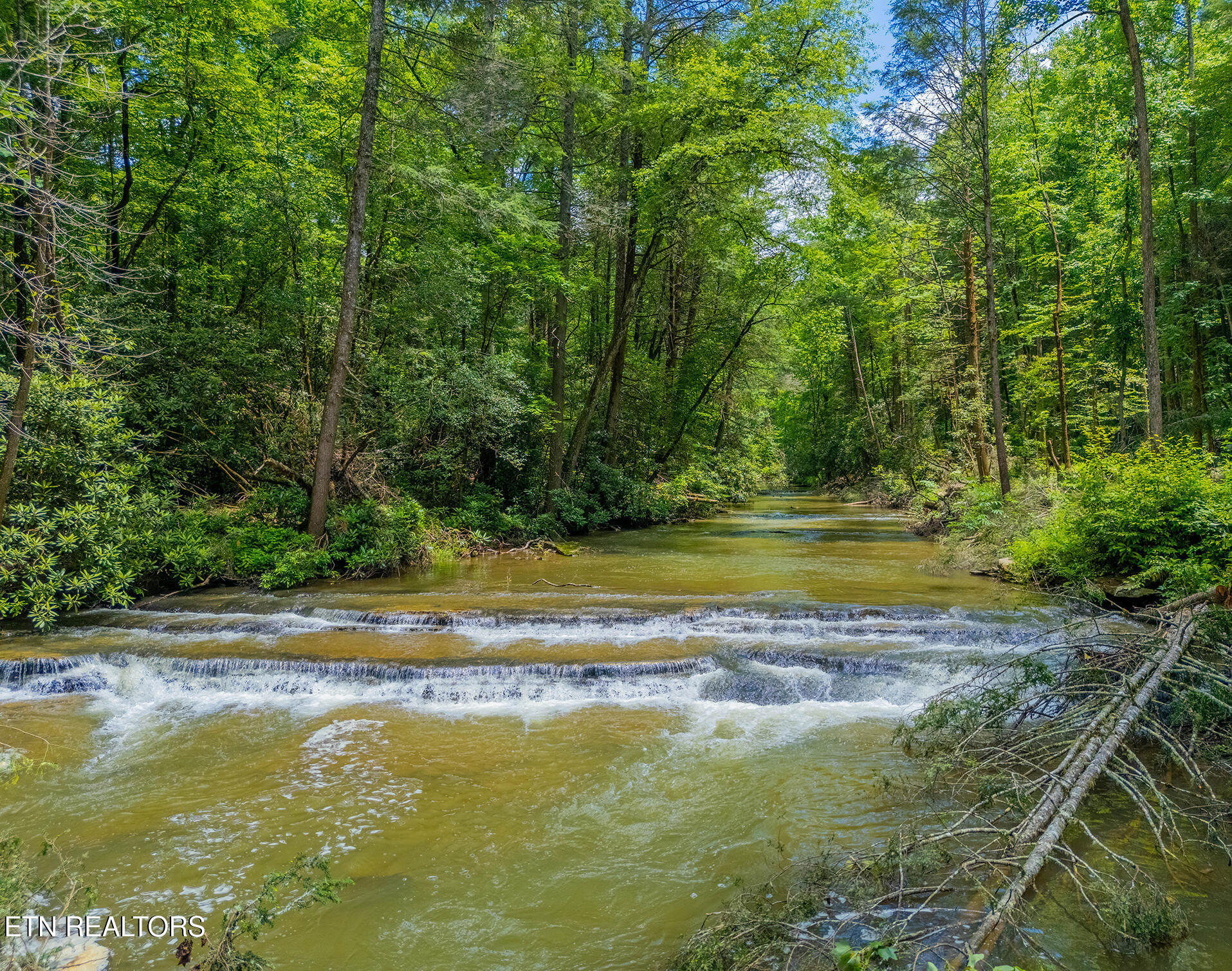 118 Authorn Sheldon Road Harriman, TN 37748 - Photo 18 of 59 32 - DJI_20250617143231_0974_D-HDR