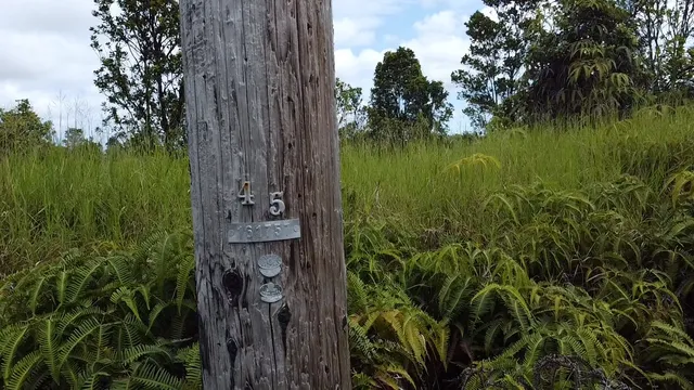 $39,000 | 849 Lehuanani Street, Mountain View, HI 96771