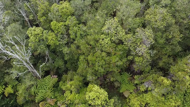 $39,000 | 849 Lehuanani Street, Mountain View, HI 96771