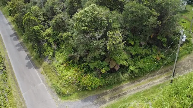 $39,000 | 849 Lehuanani Street, Mountain View, HI 96771