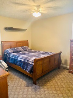 147 Riddleton Circle Riddleton, TN 37151 - Photo 15 of 17 Gallery Image 15