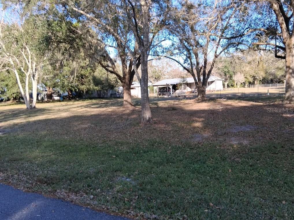 4th Avenue Kenansville, FL 34739 - Photo 3 of 4 a view of outdoor space and trees