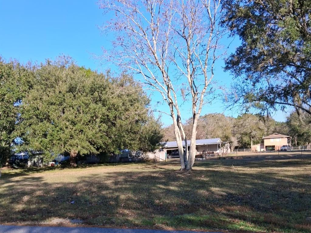 4th Avenue Kenansville, FL 34739 - Photo 4 of 4 a view of road with trees