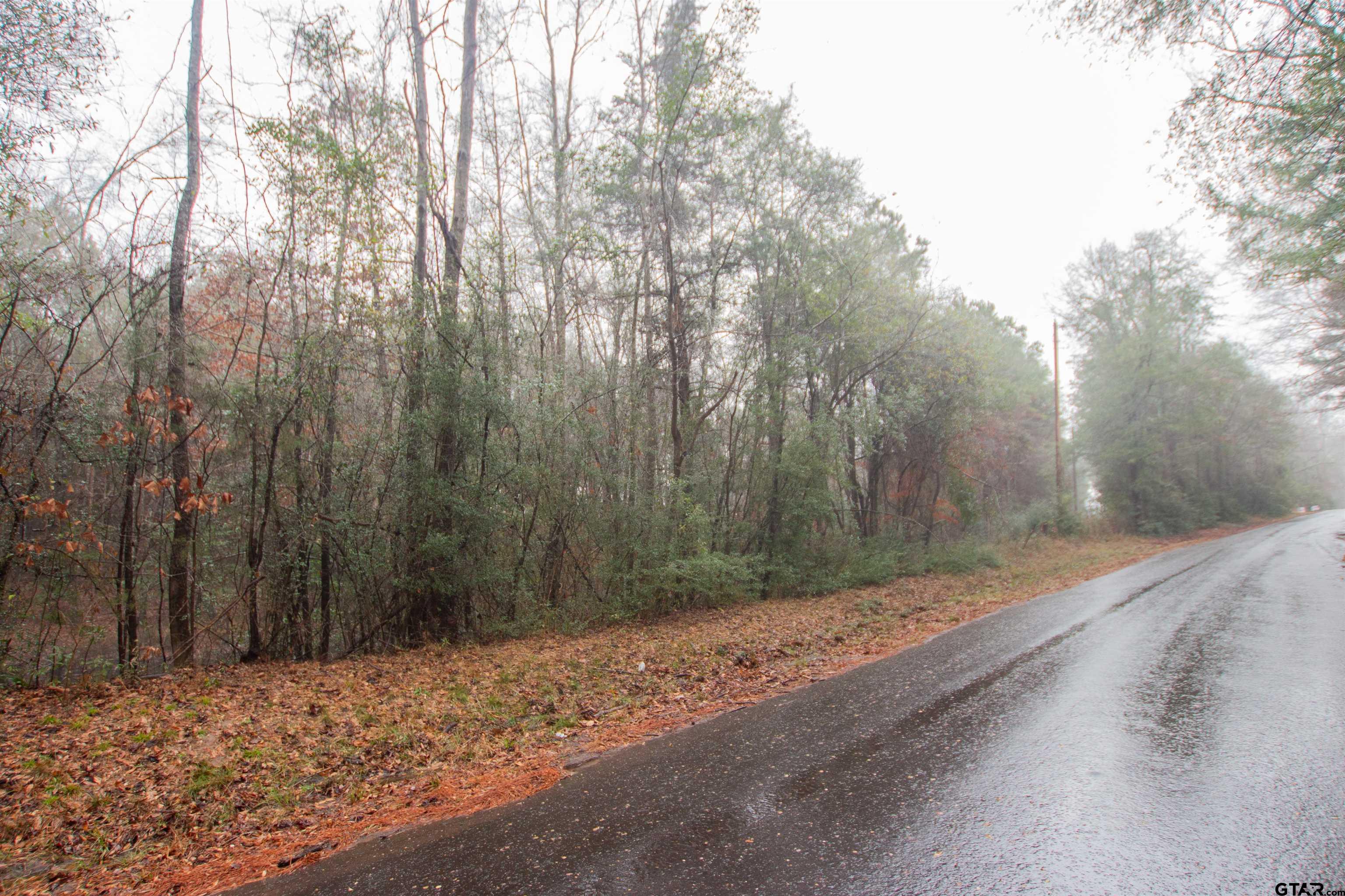 1348 County Road 448 Carthage, TX 75633 - Photo 1 of 6 a view of a backyard of a house