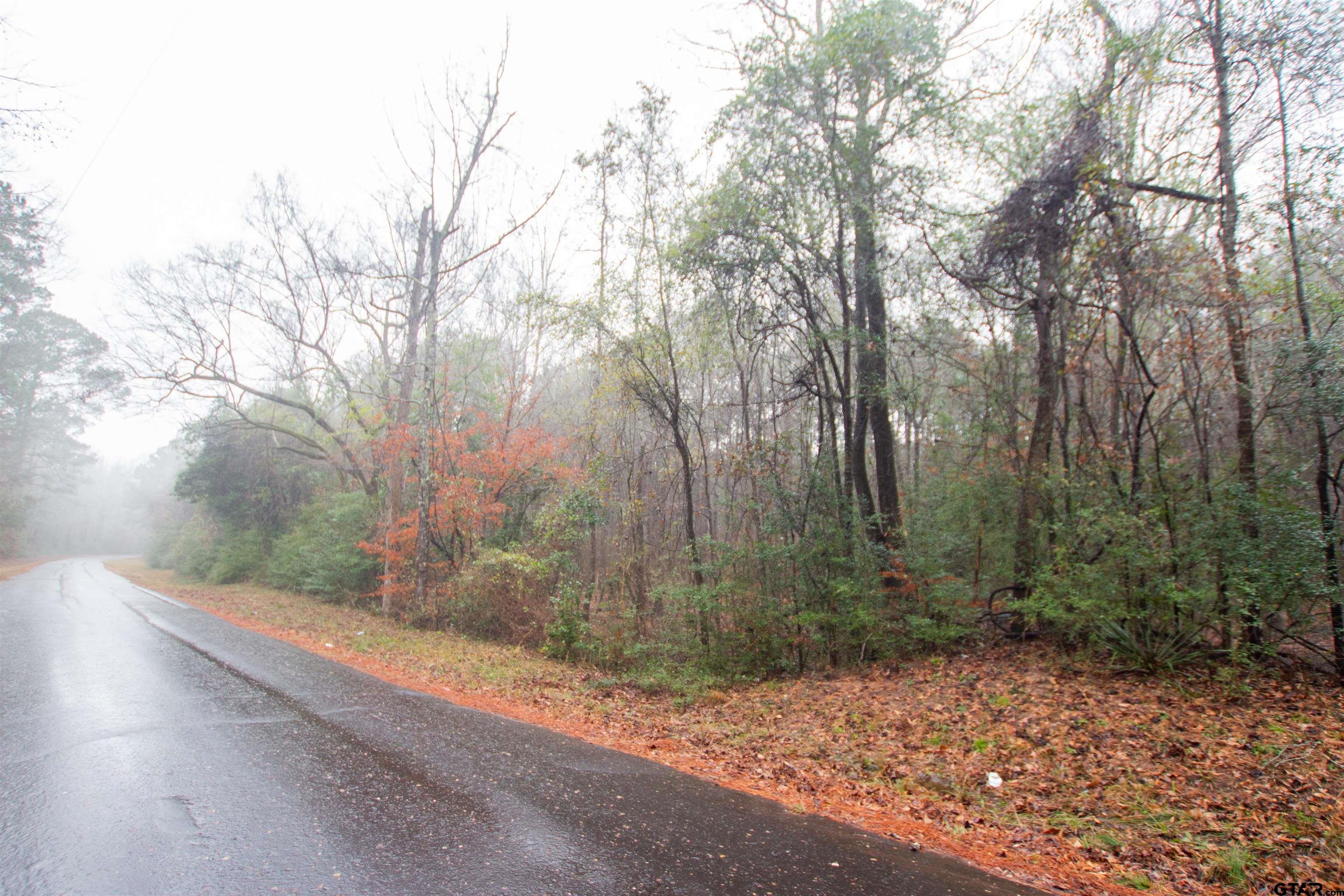 1348 County Road 448 Carthage, TX 75633 - Photo 2 of 6 a view of a yard with trees in the background
