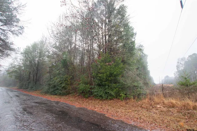 $149,500 | 1348 County Road 448, Carthage, TX 75633