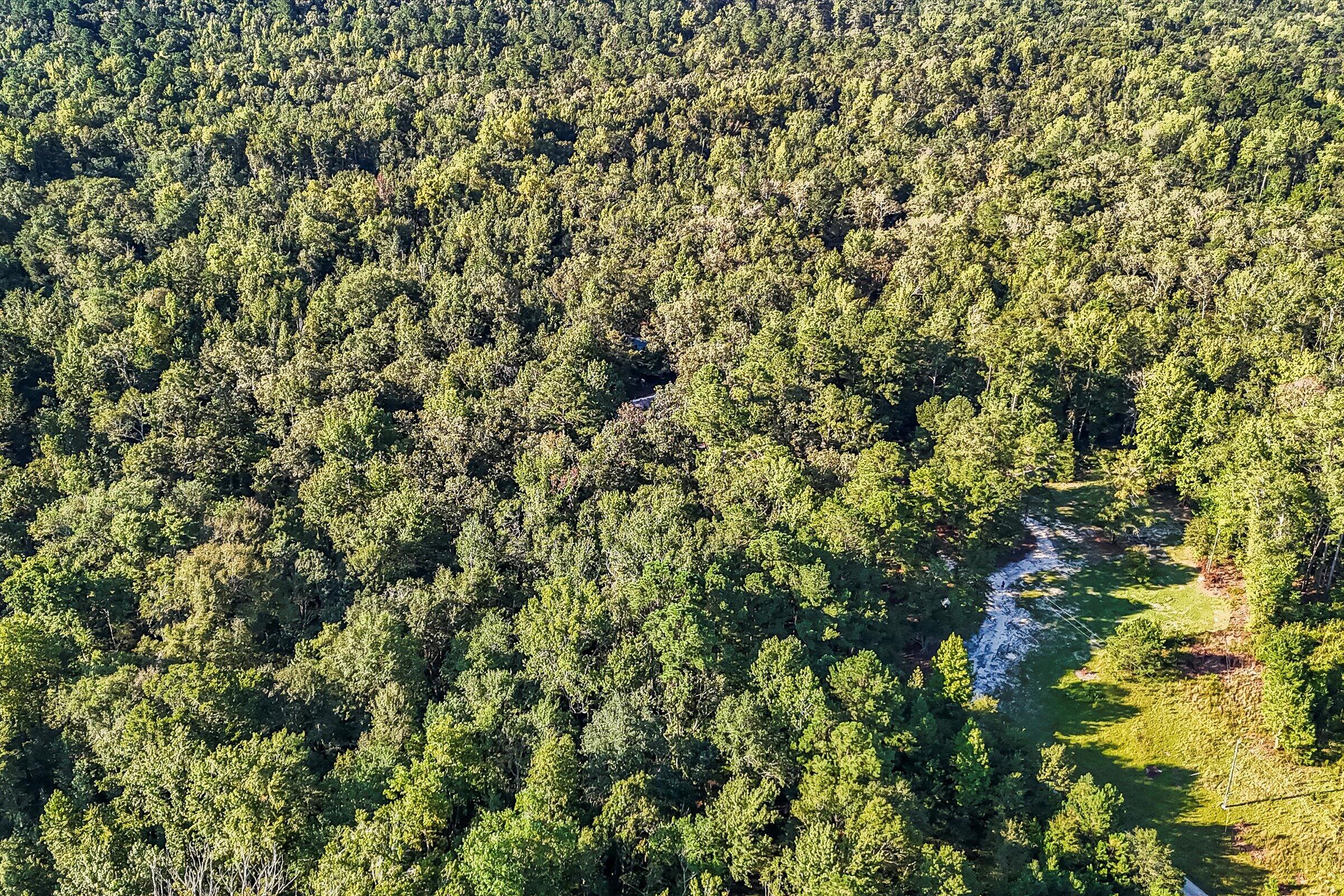 891 Rustic Oak Bend Hephzibah, GA 30815 - Photo 18 of 31 22-DJI_20250829093057_0048_D