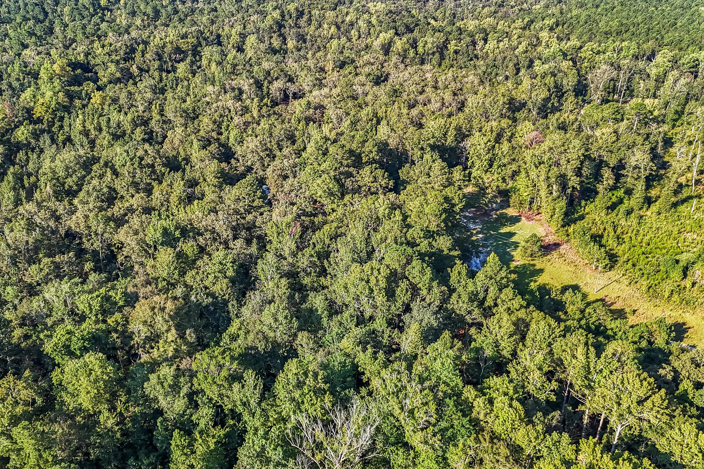 891 Rustic Oak Bend Hephzibah, GA 30815 - Photo 19 of 31 23-DJI_20250829093109_0049_D