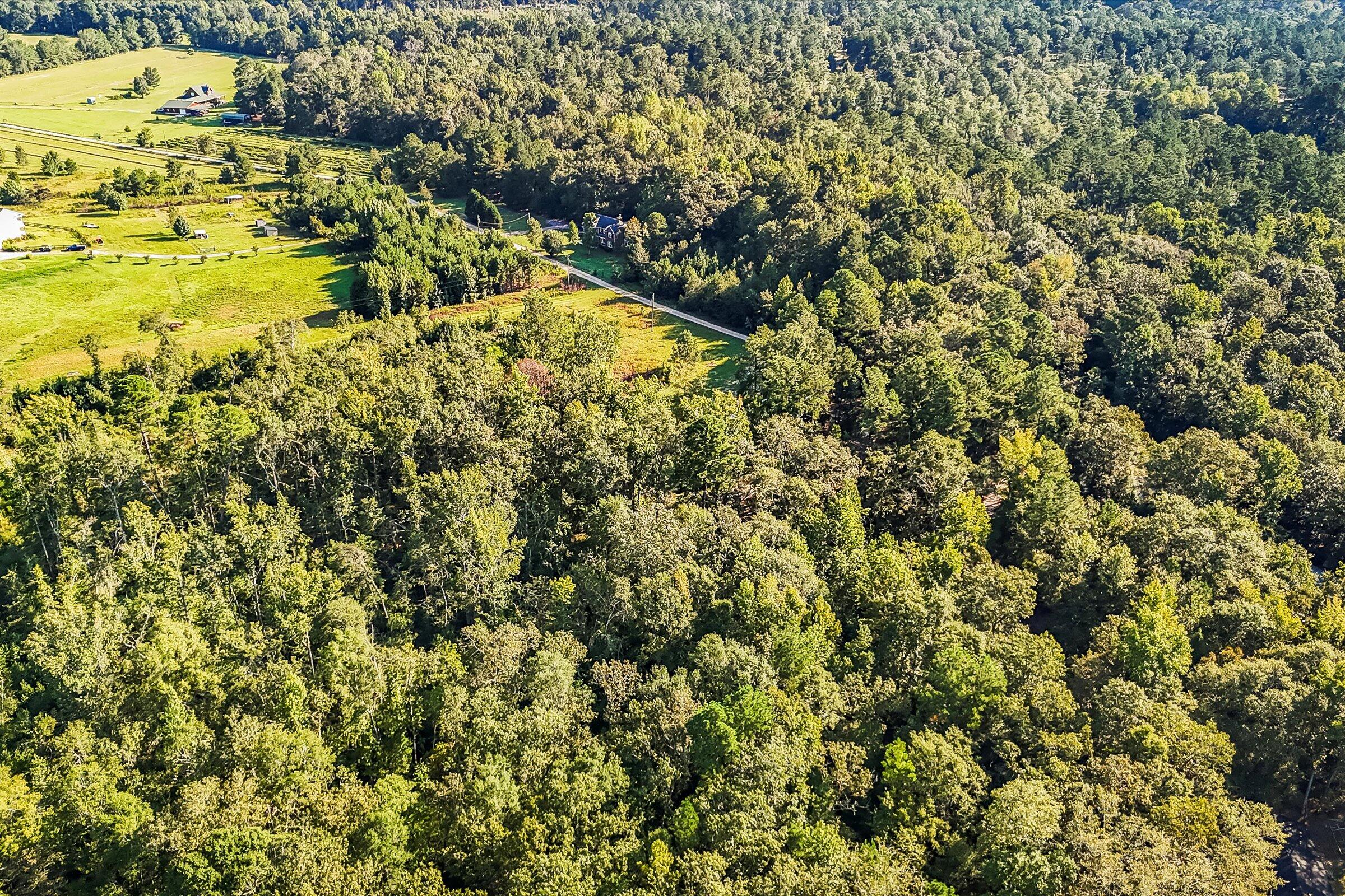 891 Rustic Oak Bend Hephzibah, GA 30815 - Photo 21 of 31 25-DJI_20250829093224_0052_D