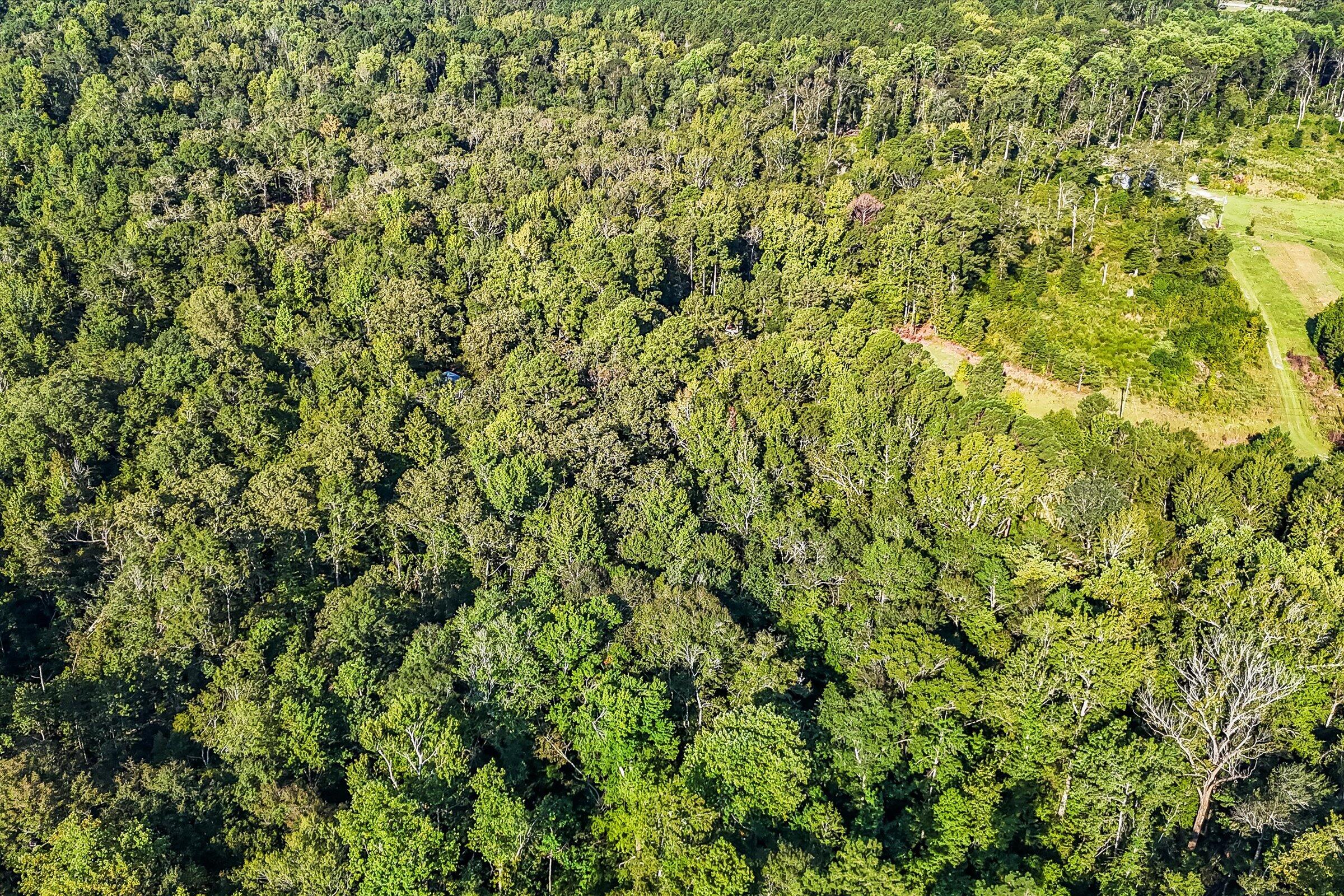 891 Rustic Oak Bend Hephzibah, GA 30815 - Photo 25 of 31 29-DJI_20250829093124_0050_D