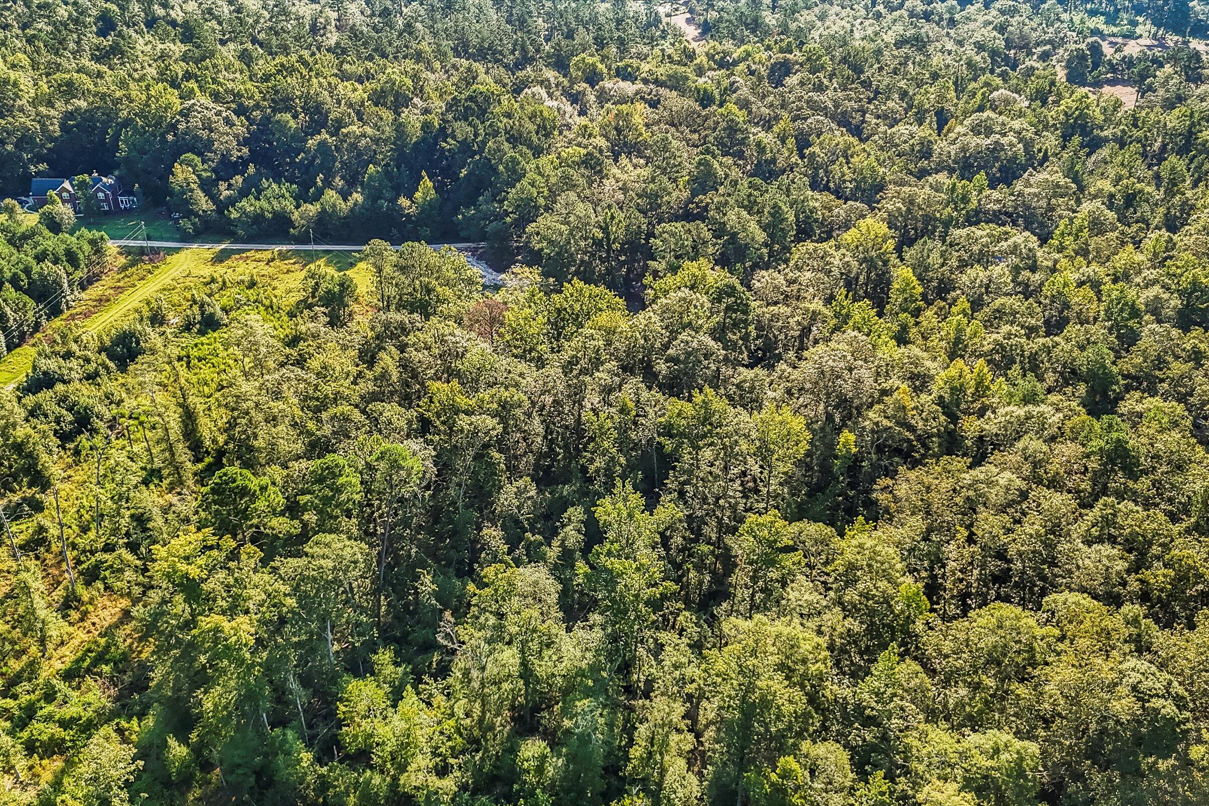 891 Rustic Oak Bend Hephzibah, GA 30815 - Photo 26 of 31 30-DJI_20250829093252_0053_D