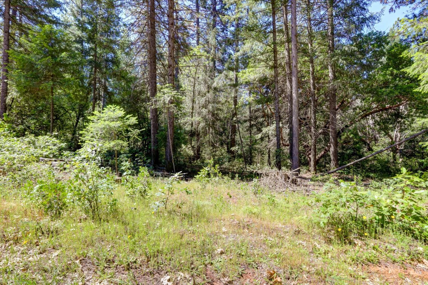 17390 Skyland Road Nevada City, CA 95959 - Photo 7 of 17