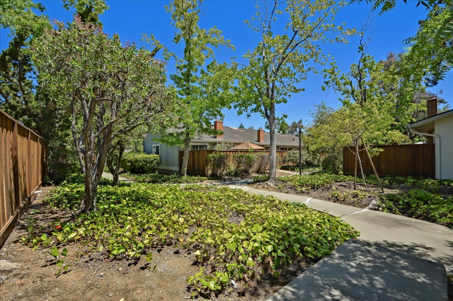10854 Northview Square Cupertino, CA 95014 - Photo 14 of 18 a small garden covered with tall trees