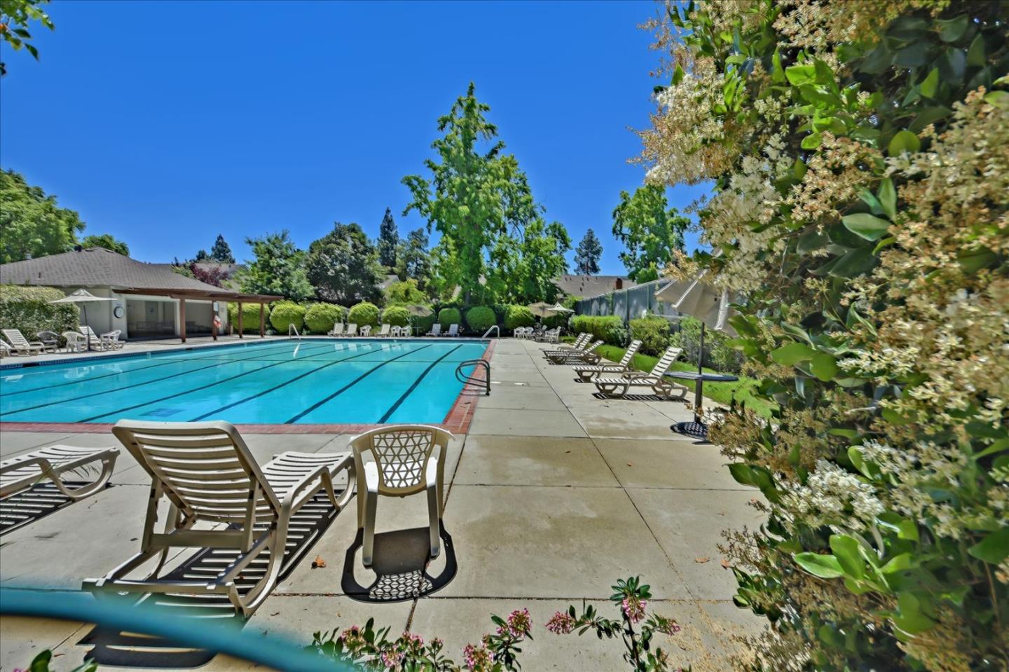 10854 Northview Square Cupertino, CA 95014 - Photo 17 of 18 a view of a chairs and table in backyard