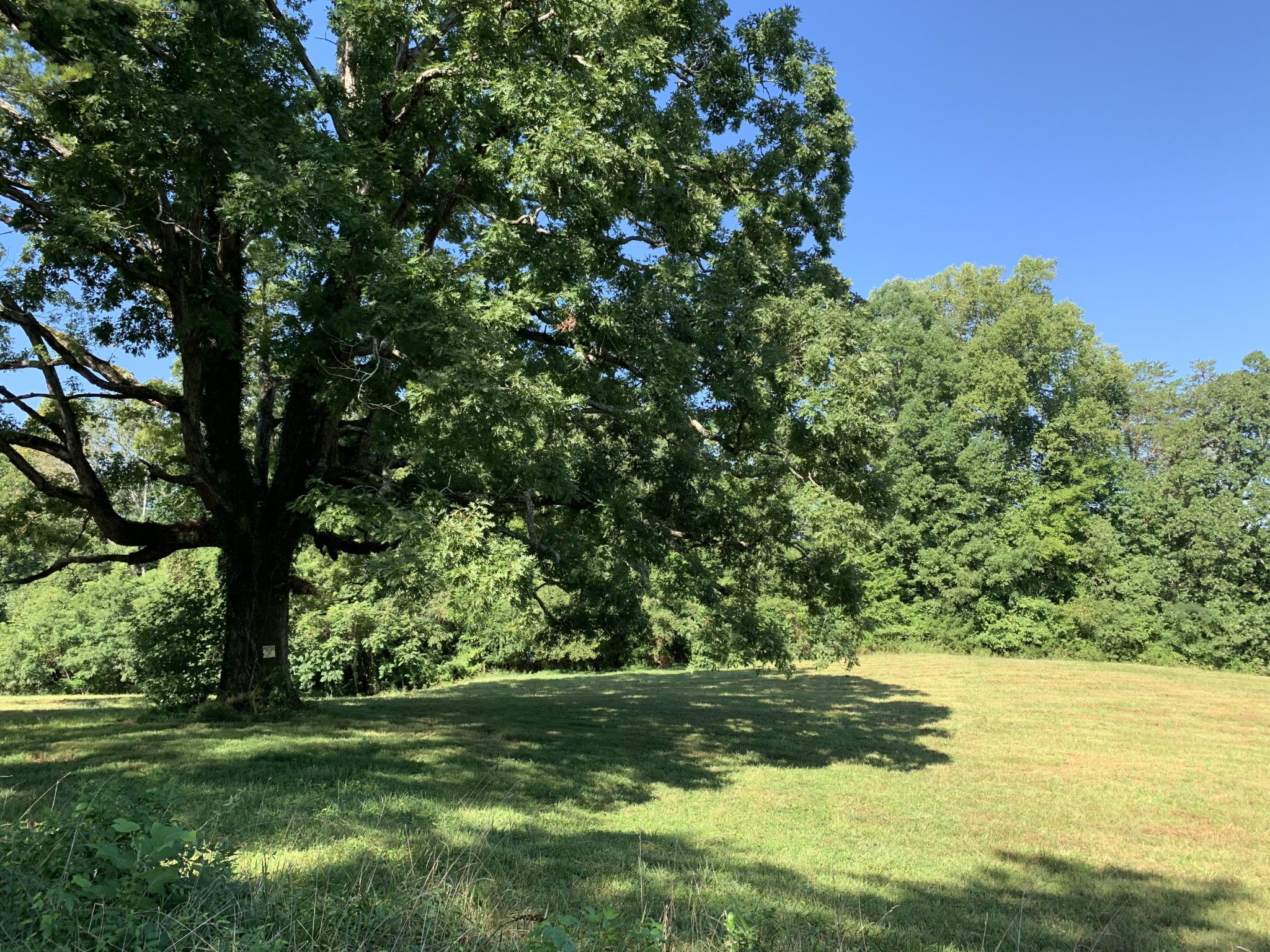 9 County Road 705 Riceville, TN 37370 - Photo 1 of 10 Gallery Image 1