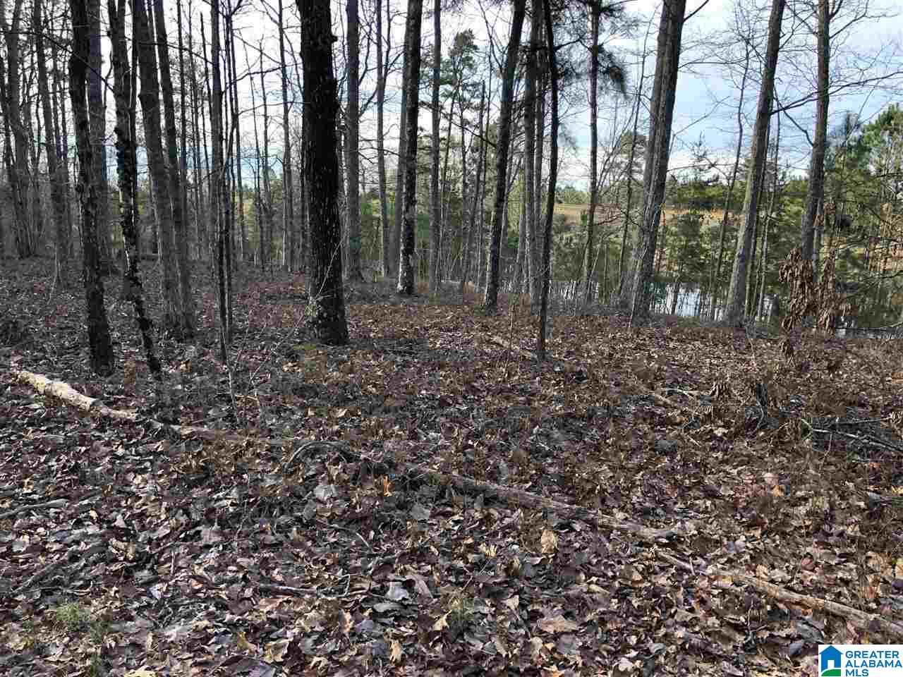 0 Drake Drive Springville, AL 35146 - Photo 14 of 23