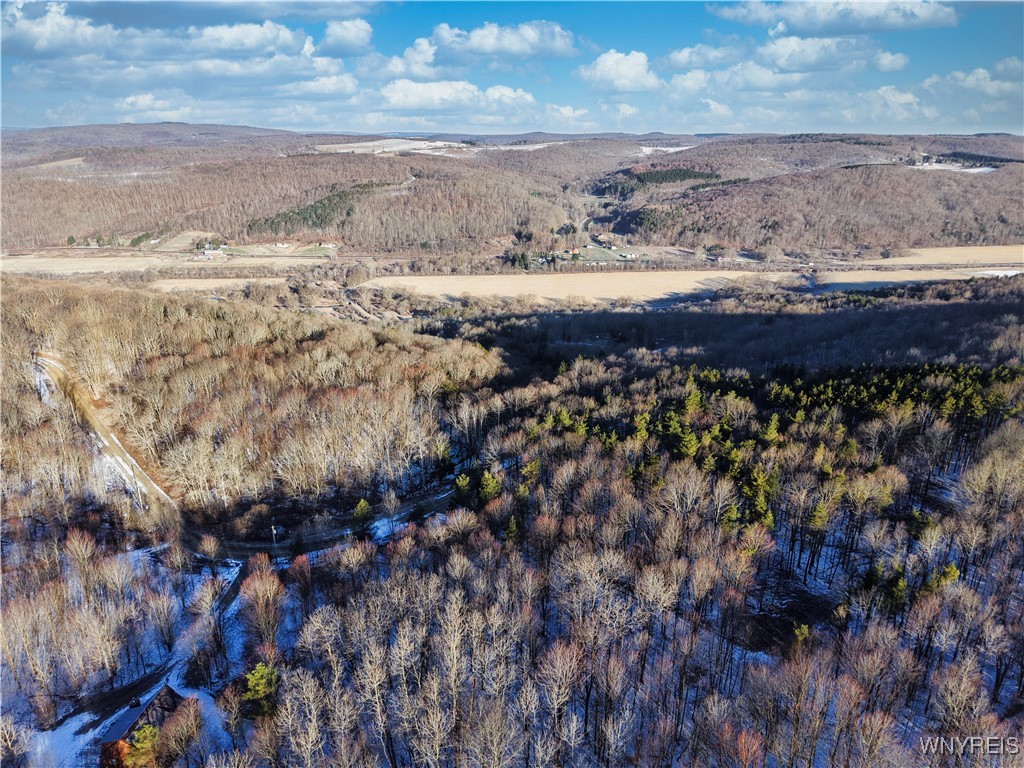 10-11 Creek Ridge Road Ellicottville, NY 14731 - Photo 11 of 16