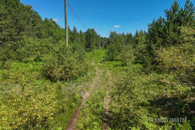 $100,000 | 4608 North Spruce Avenue, White Cloud, MI 49349