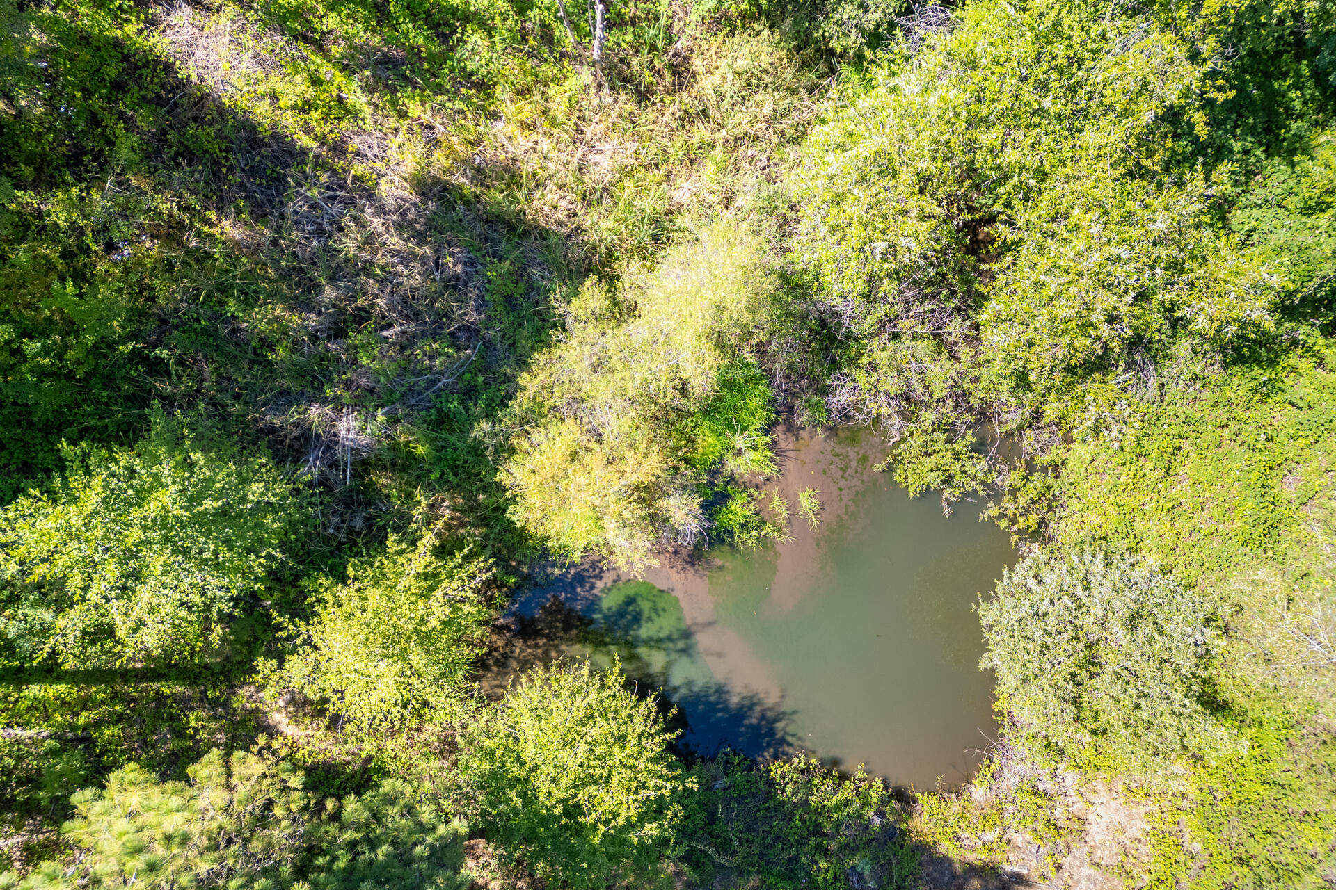 29427 Inwood Road Shingletown, CA 96088 - Photo 33 of 45 Pond