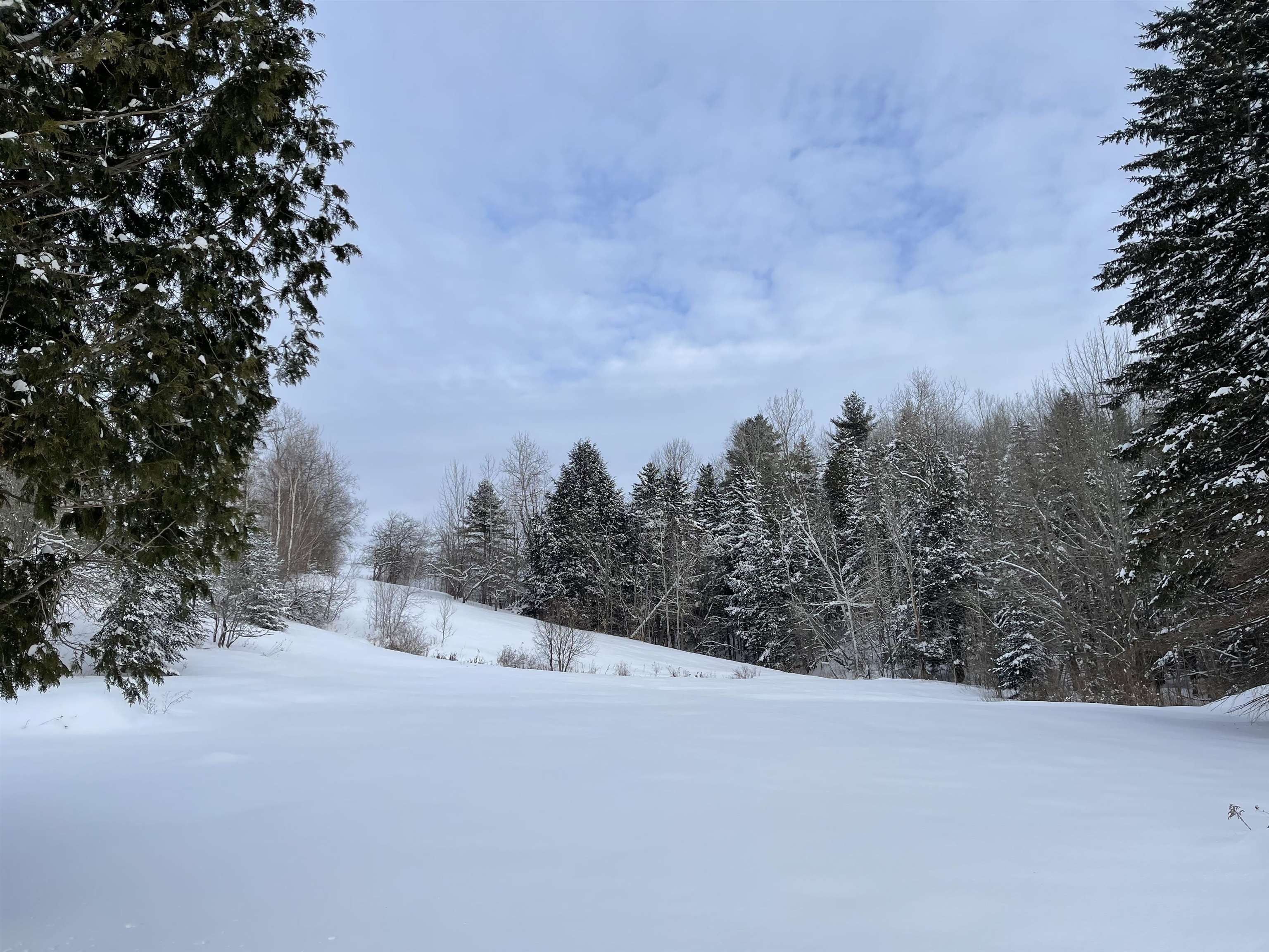 3000 East Warren Road Waitsfield, VT 05673 - Photo 24 of 33