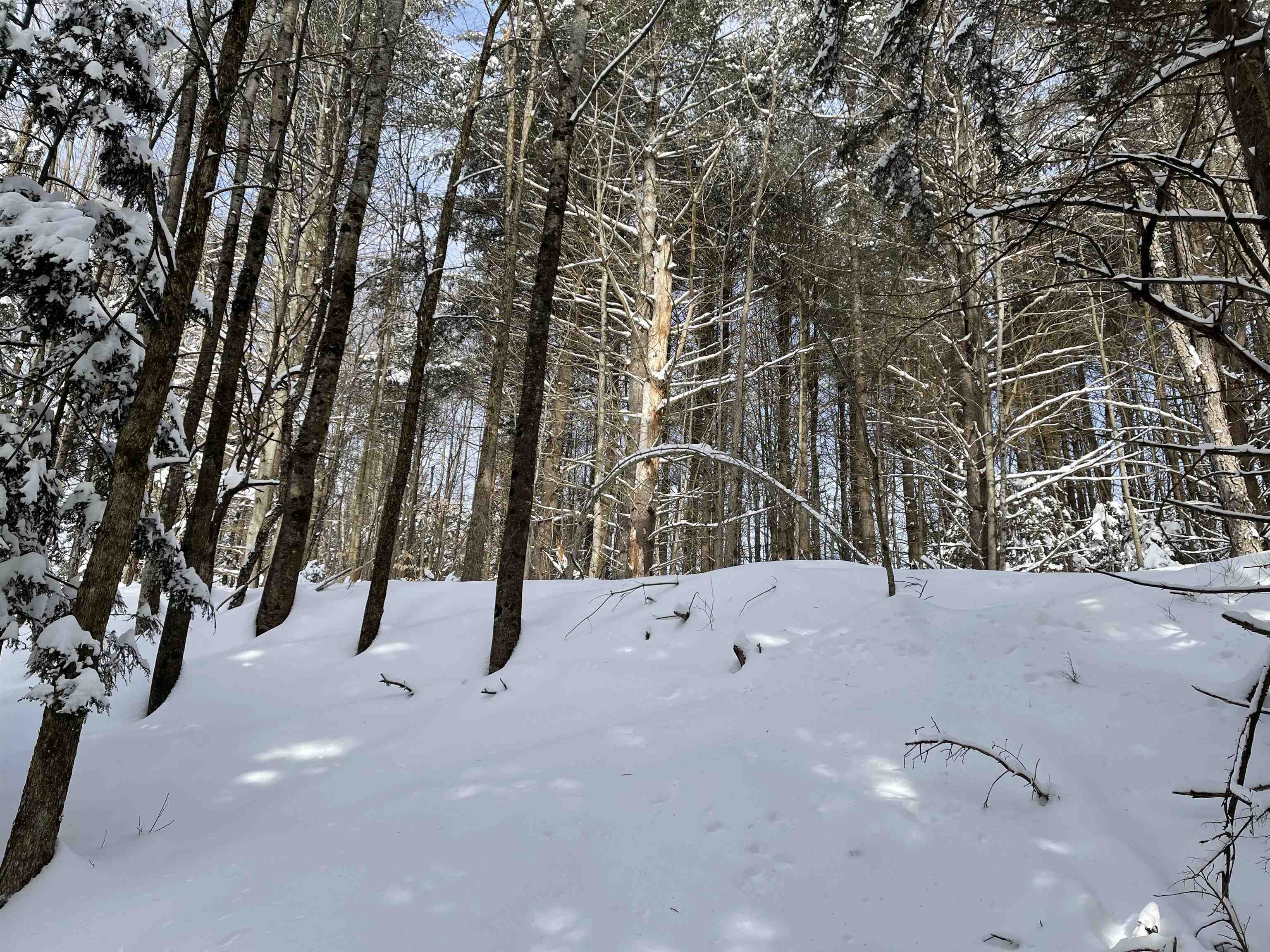 3000 East Warren Road Waitsfield, VT 05673 - Photo 27 of 33