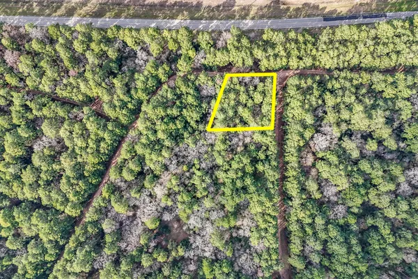 $20,000 | 0 East Hickory Bow Lane, Hempstead, TX 77445